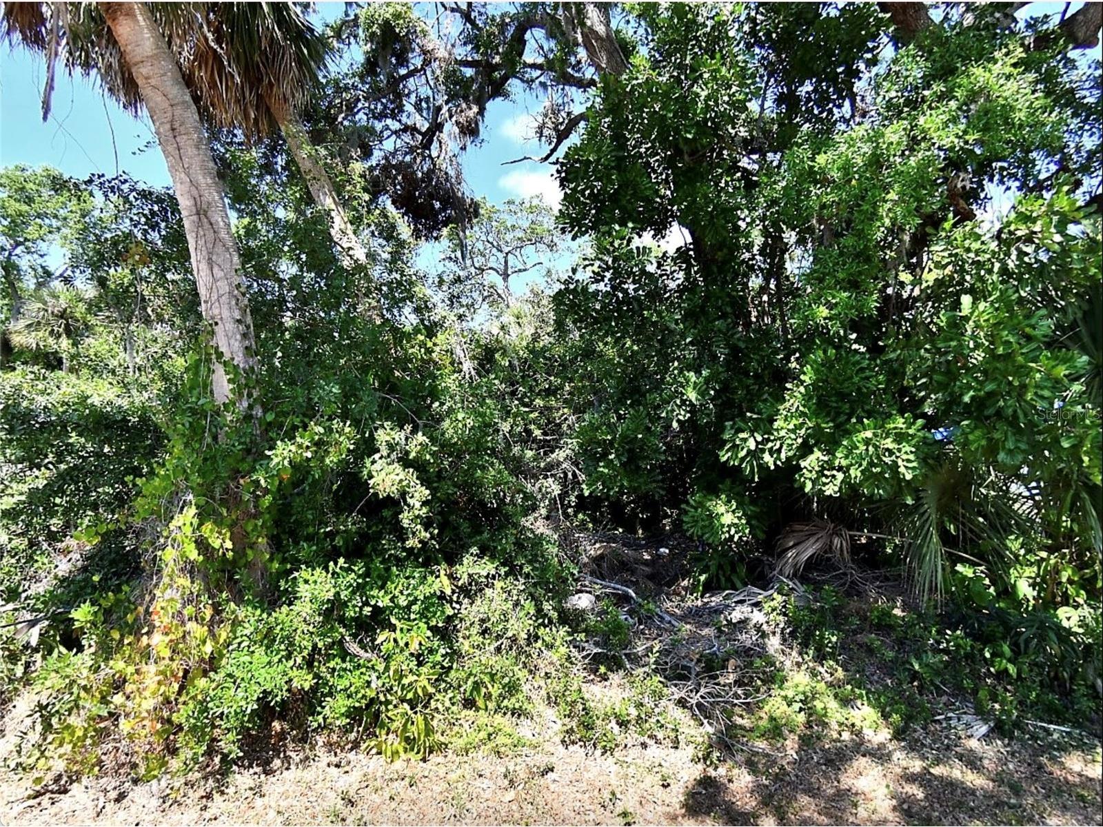 Foxglove Road Venice FL 34293 A4697682 image1