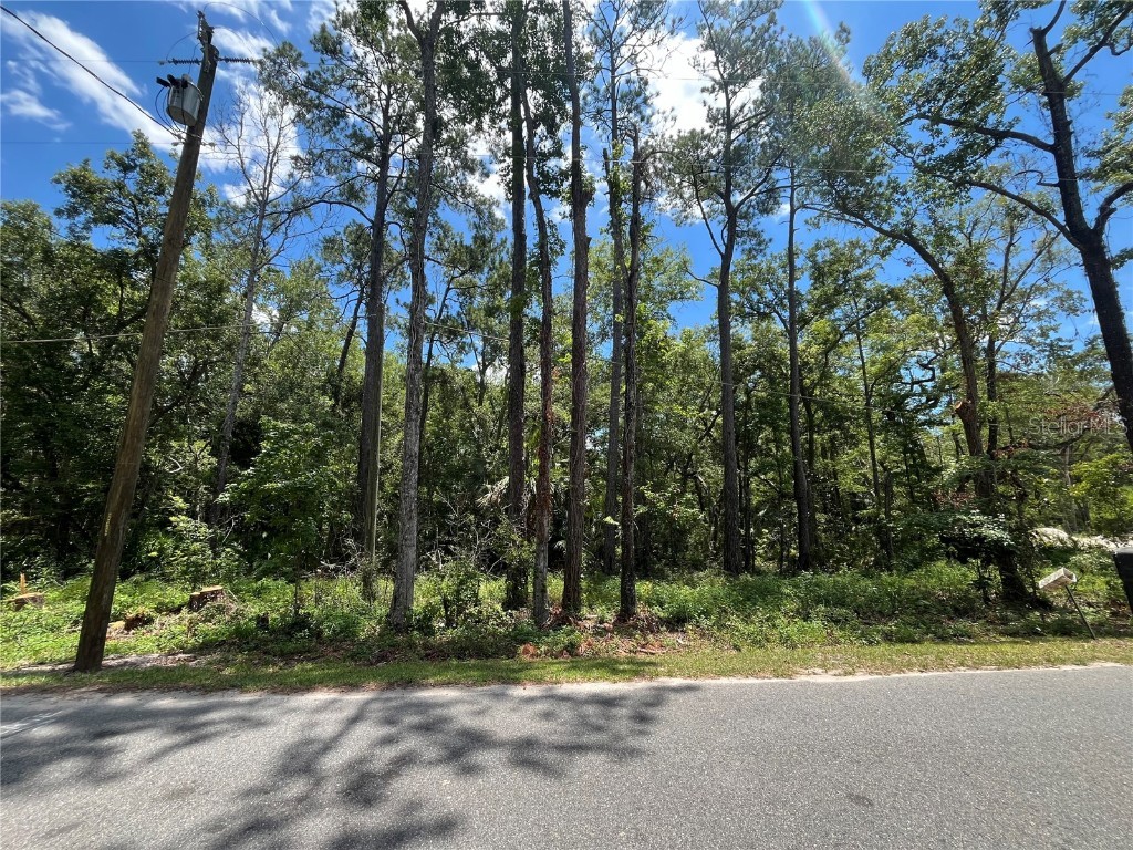 Franklin Drive Crawfordville FL 32327 OK225393 image1