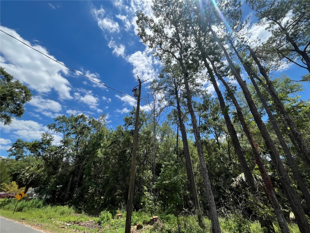 Franklin Drive Crawfordville FL 32327 OK225393 image6