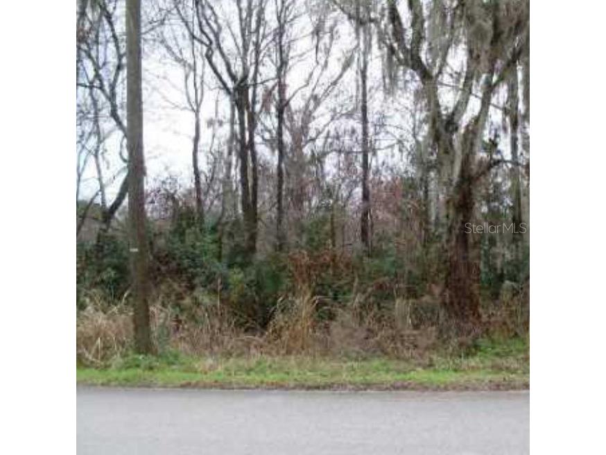 Franklin Street Oviedo FL 32765 O6405522 image4
