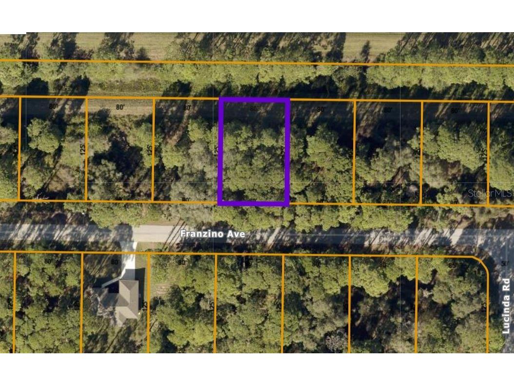 Franzino Avenue North Port FL 34291 C7453023 image1