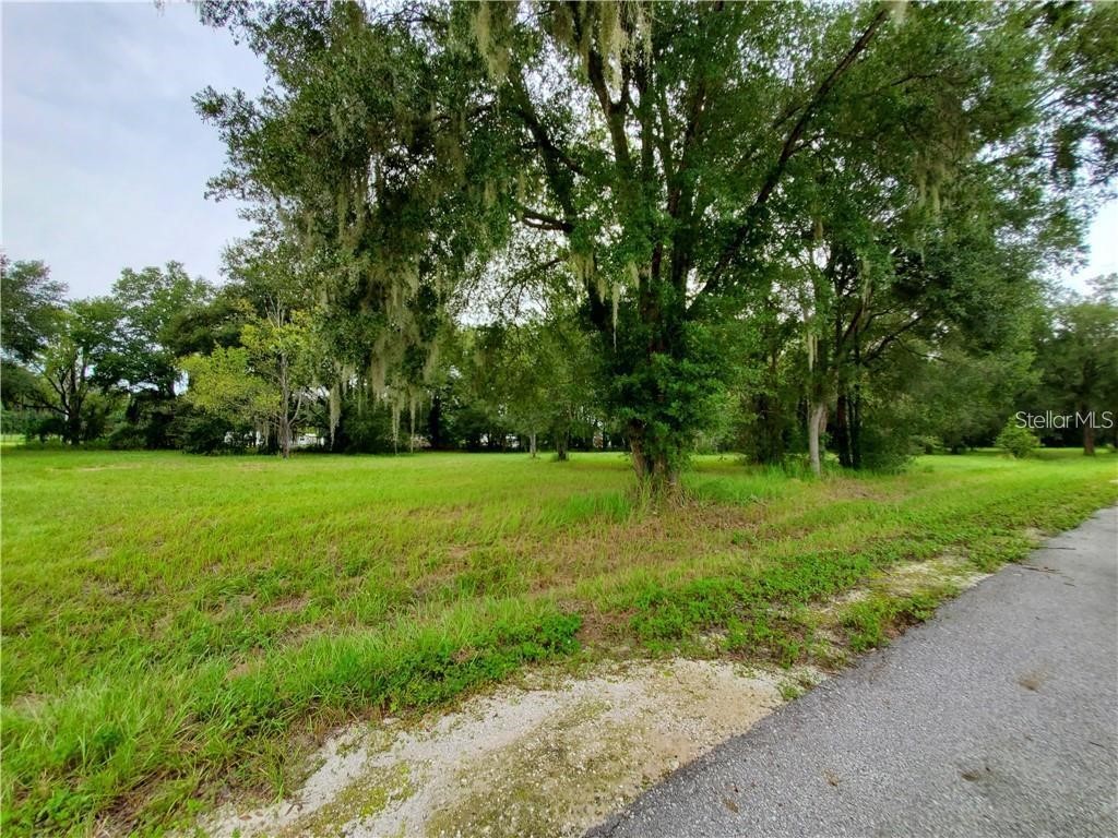 Frazee Court Dade City FL 33523 TB8527389 image4