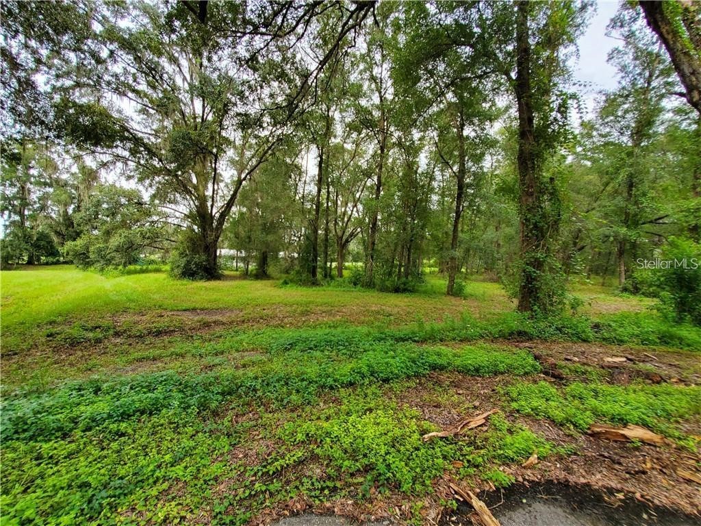 Frazee Court Dade City FL 33523 TB8527389 image5