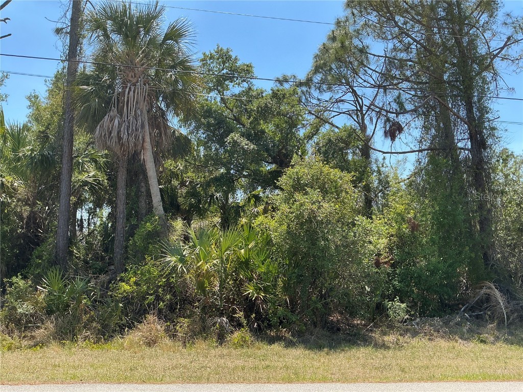 Freedom Lane North Port FL 34286 OM703027 image1