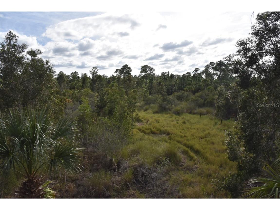 Freedom Road Mims FL 32754 OM669540 image1