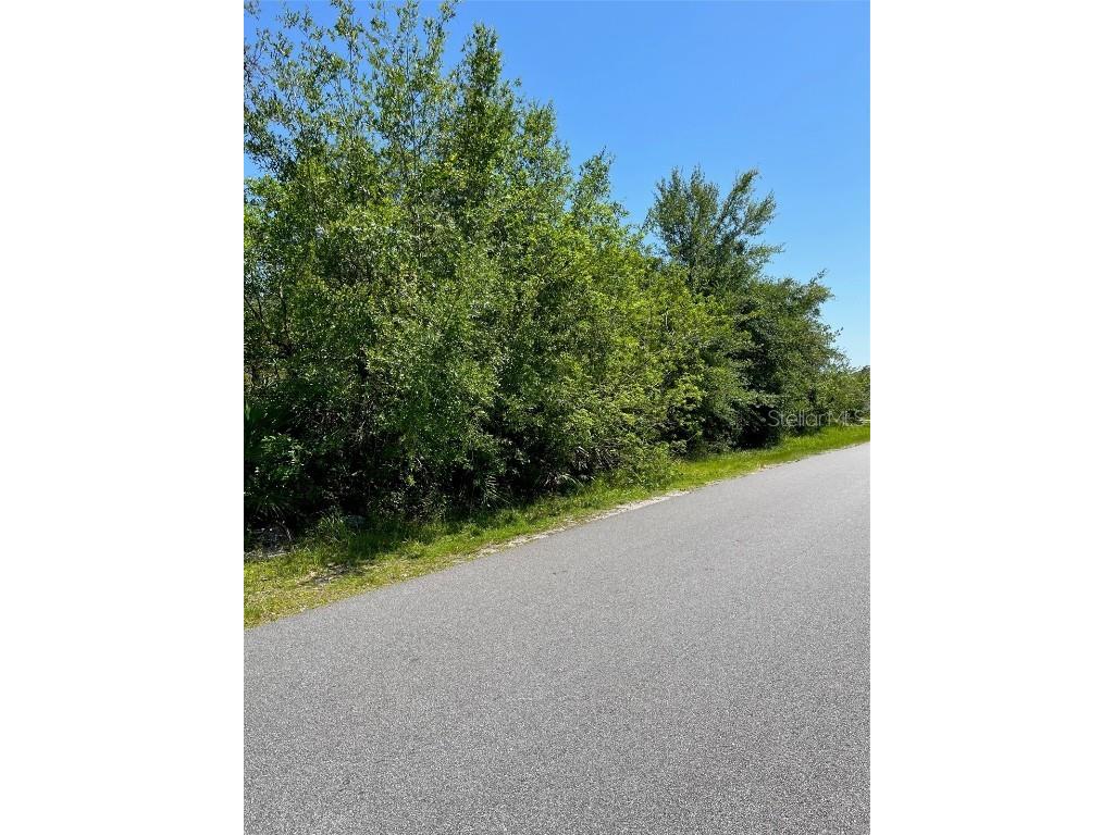 Friars Cove Lane Saint Cloud FL 34772 S5084465 image1