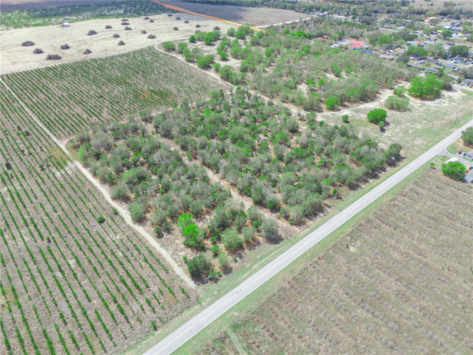 Friedlander Road Babson Park FL 33827 L4959987 image11