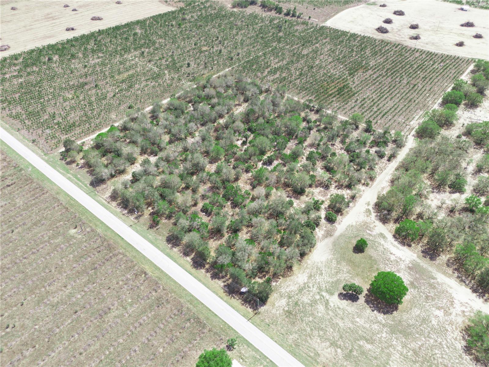 Friedlander Road Babson Park FL 33827 L4959987 image14