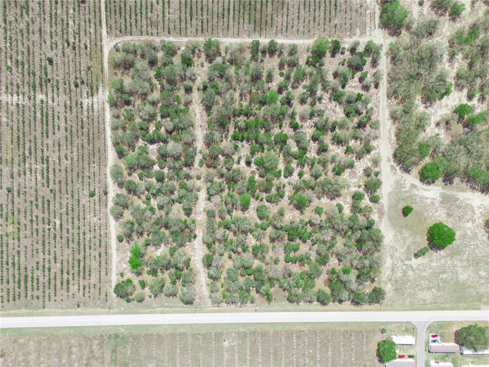 Friedlander Road Babson Park FL 33827 L4959987 image15