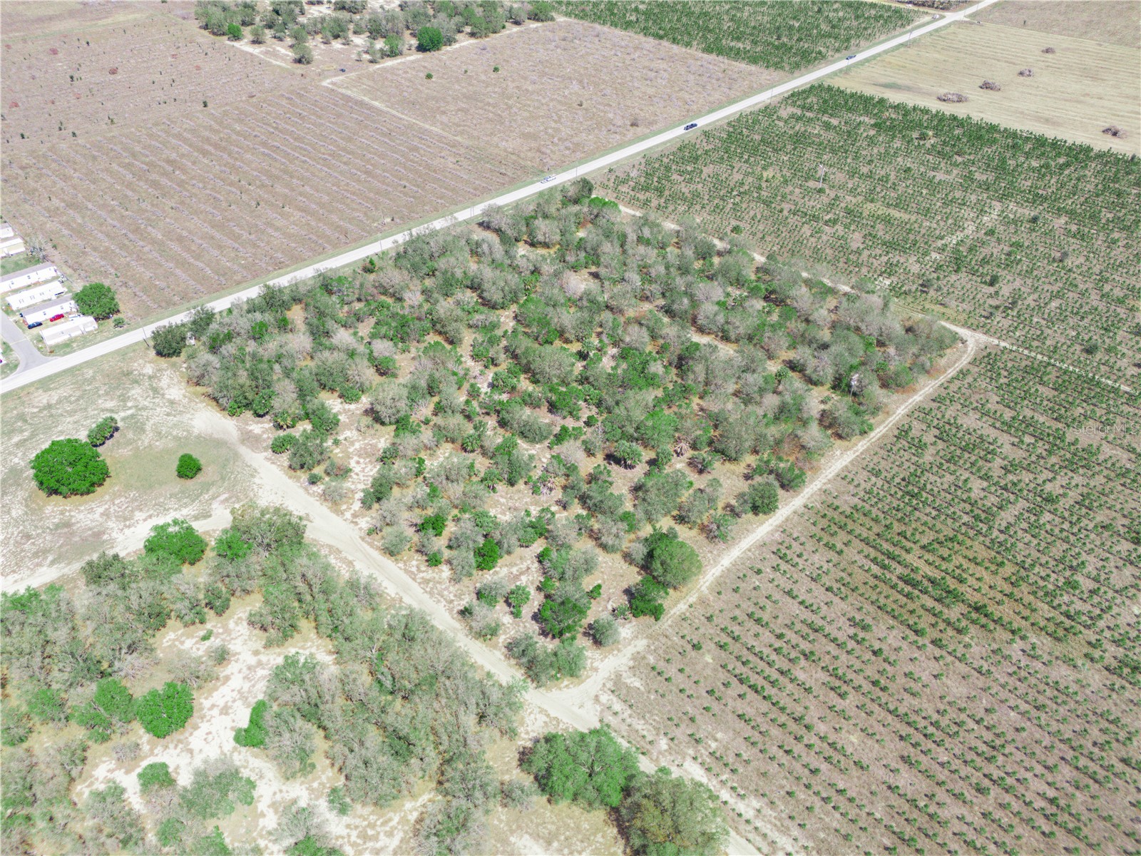 Friedlander Road Babson Park FL 33827 L4959987 image17