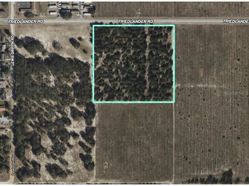 Friedlander Road Babson Park FL 33827 L4959987 image3