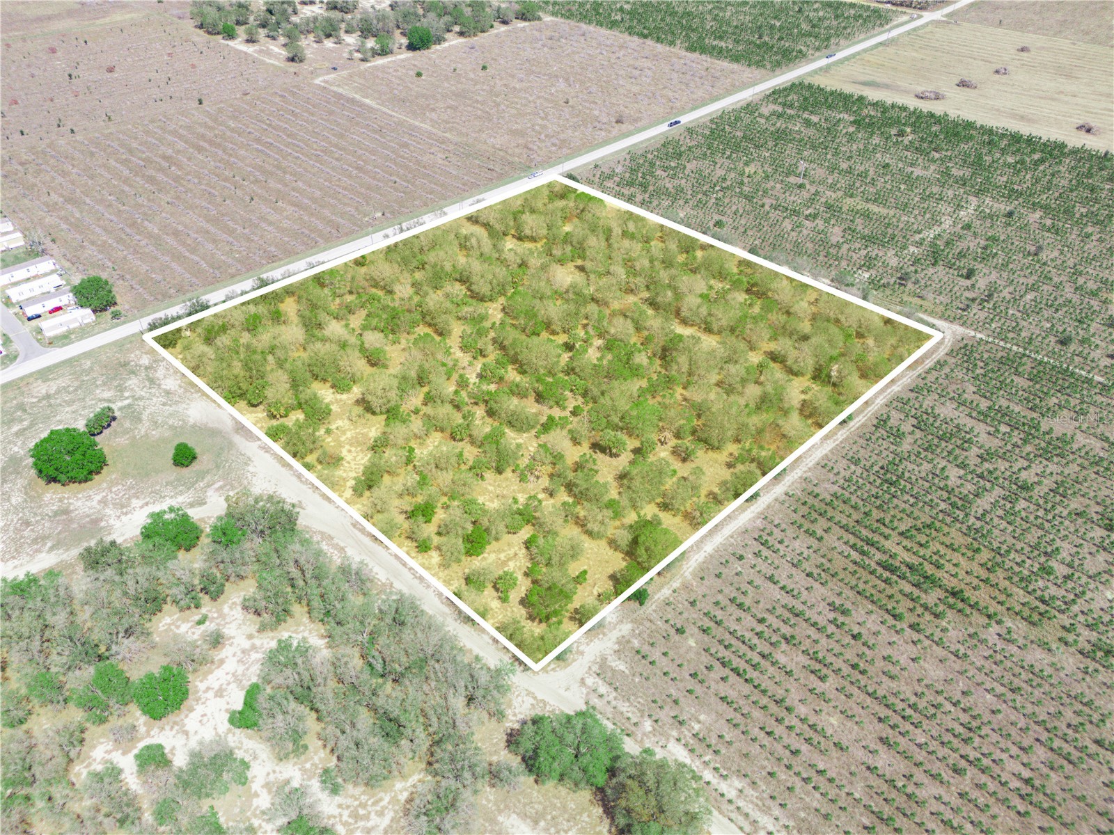 Friedlander Road Babson Park FL 33827 L4959987 image4