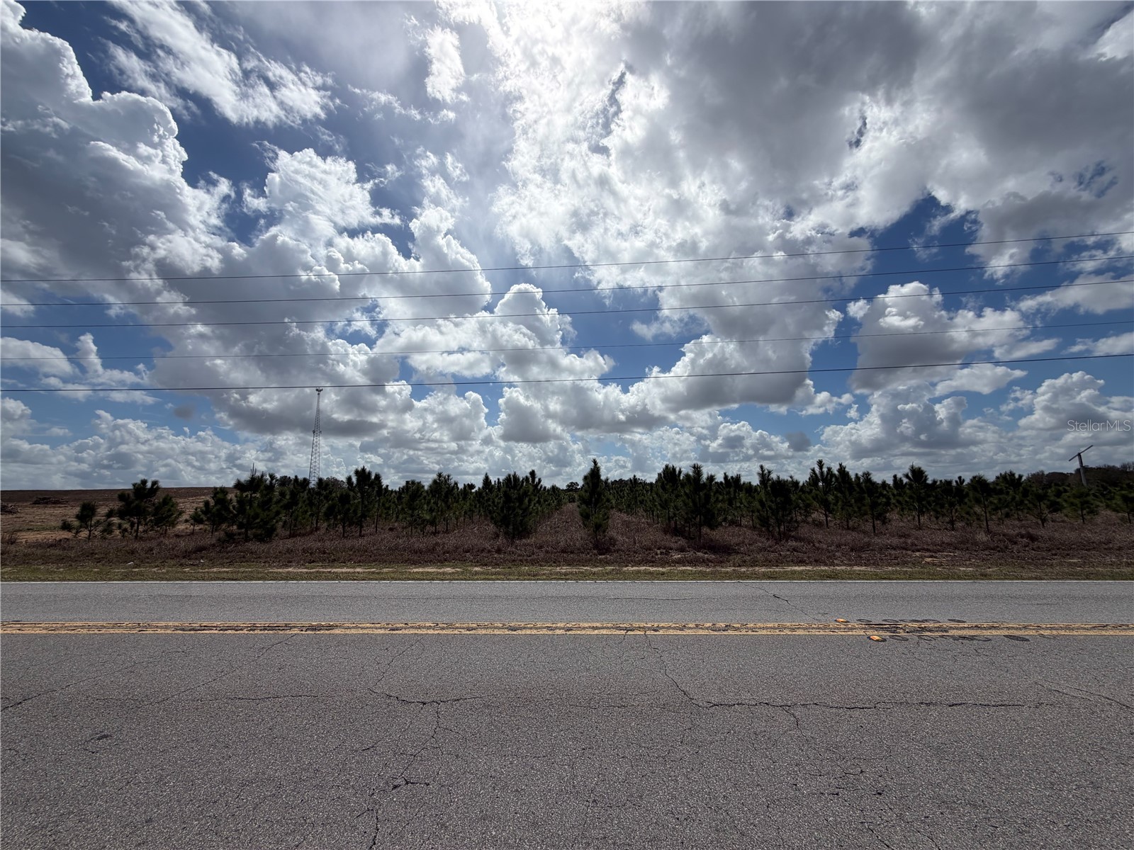 Friedlander Road Babson Park FL 33827 L4959987 image5