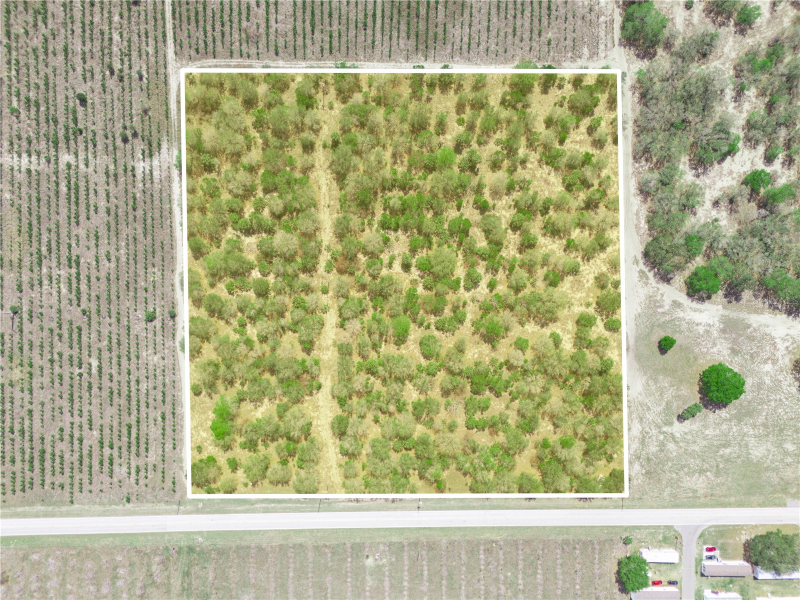 Friedlander Road Babson Park FL 33827 L4959987 image6