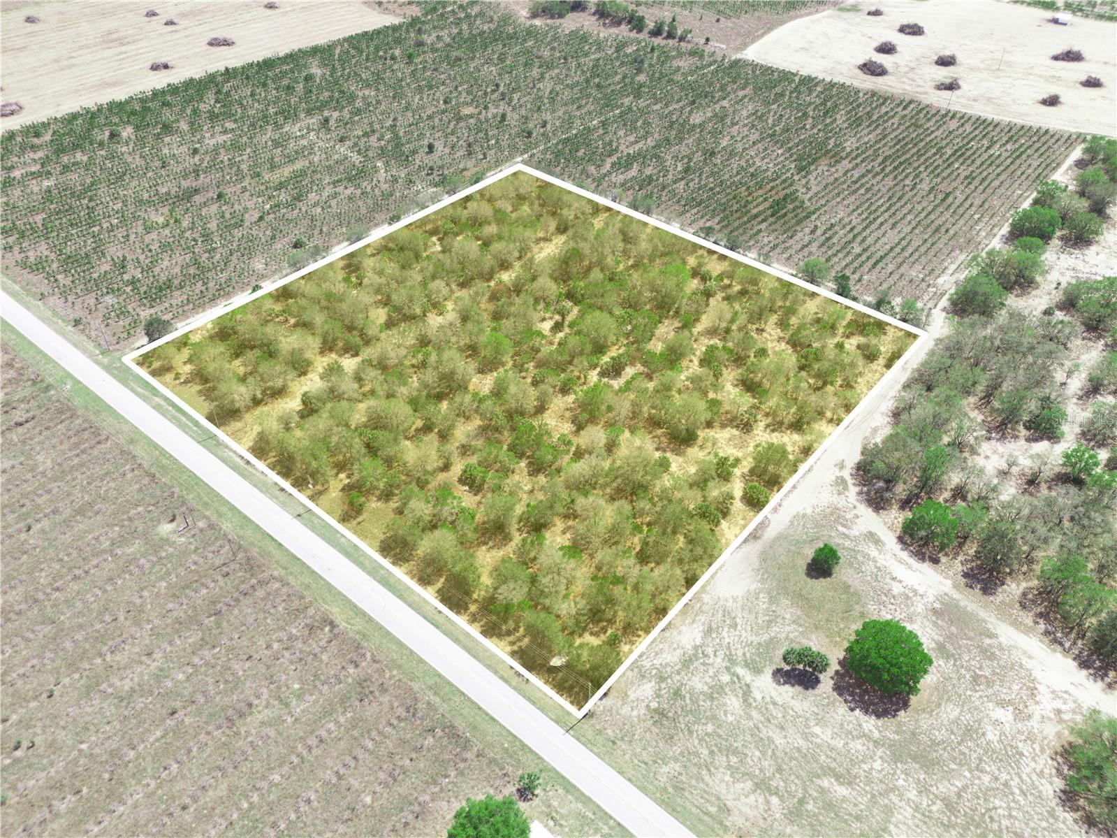 Friedlander Road Babson Park FL 33827 L4959987 image7