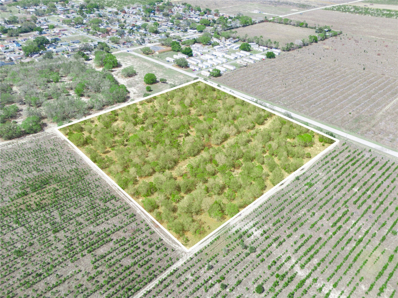 Friedlander Road Babson Park FL 33827 L4959987 image8