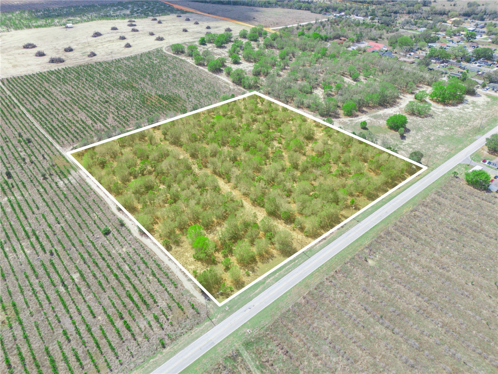 Friedlander Road Babson Park FL 33827 L4959987 image9