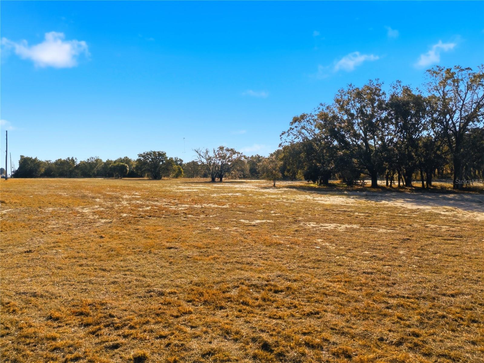 Friedlander Road Lake Wales FL 33853 O6383192 image5