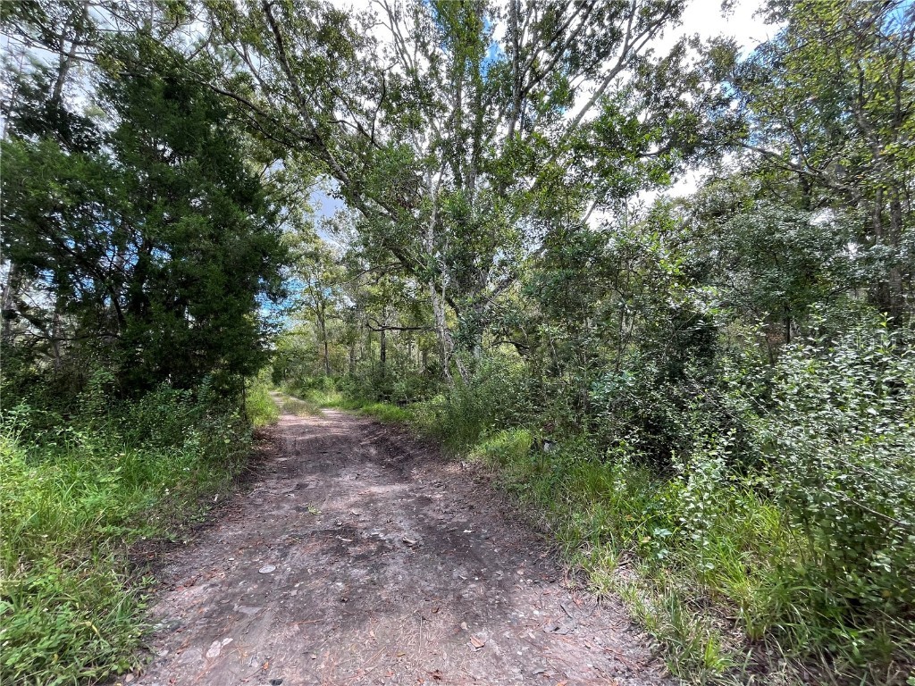 Fuller Ave #22 New Port Richey FL 34654 TB8435689 image1