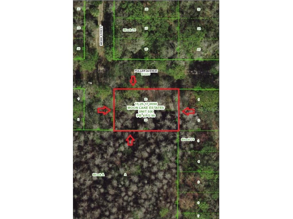 Fuller Ave #22 New Port Richey FL 34654 TB8435689 image2