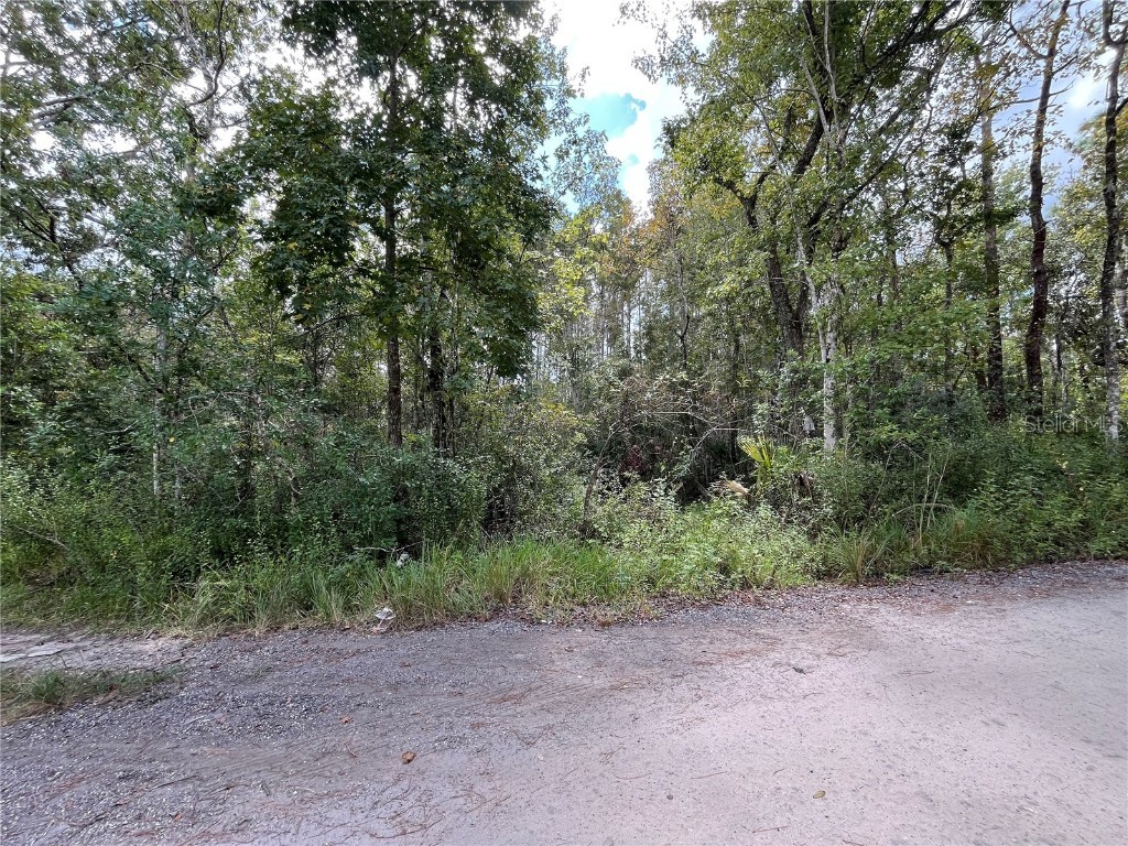 Fuller Ave #22 New Port Richey FL 34654 TB8435689 image3