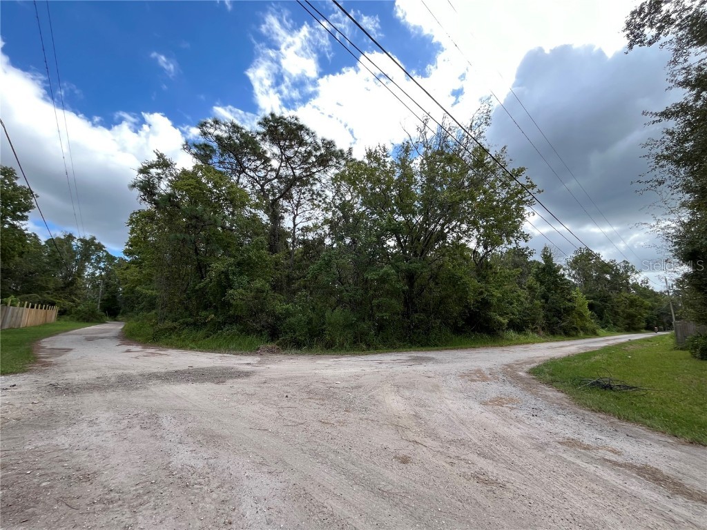 Fuller Ave #22 New Port Richey FL 34654 TB8435689 image7