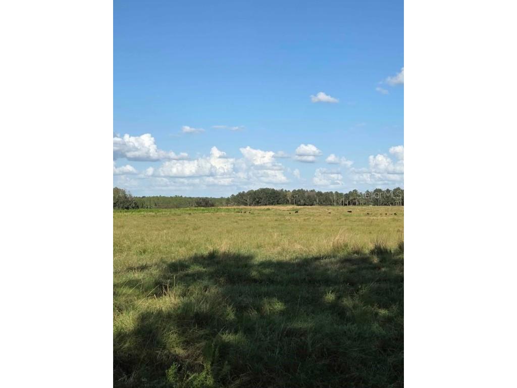  Fort Meade FL 33841 L4957760 image2