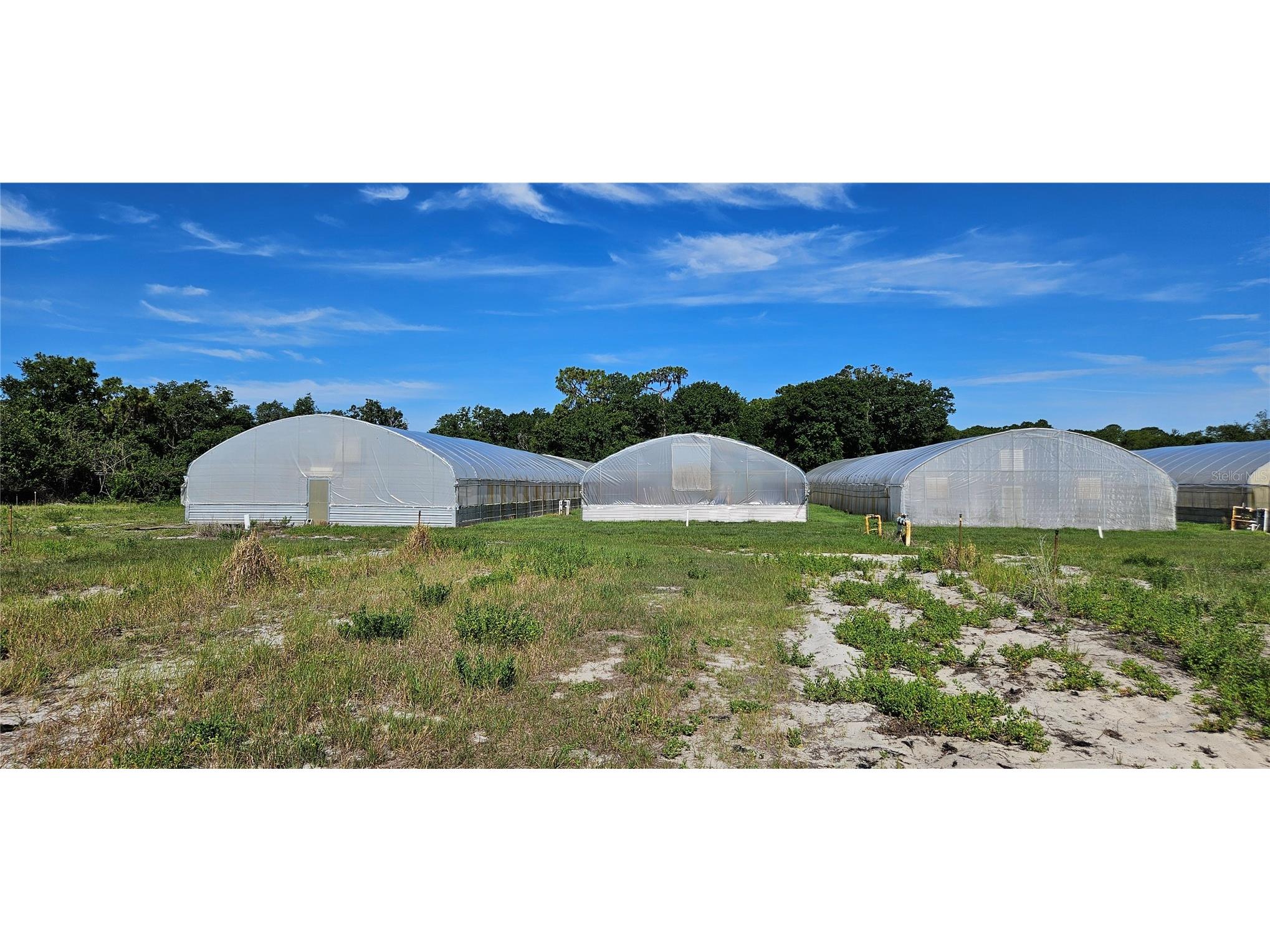  Frostproof FL 33843 L4962645 image11