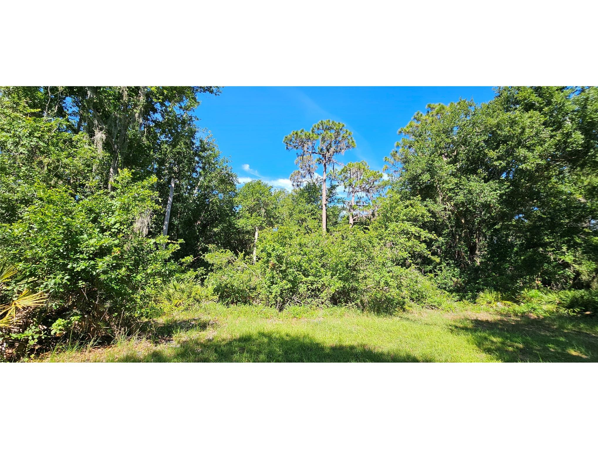  Frostproof FL 33843 L4962645 image16