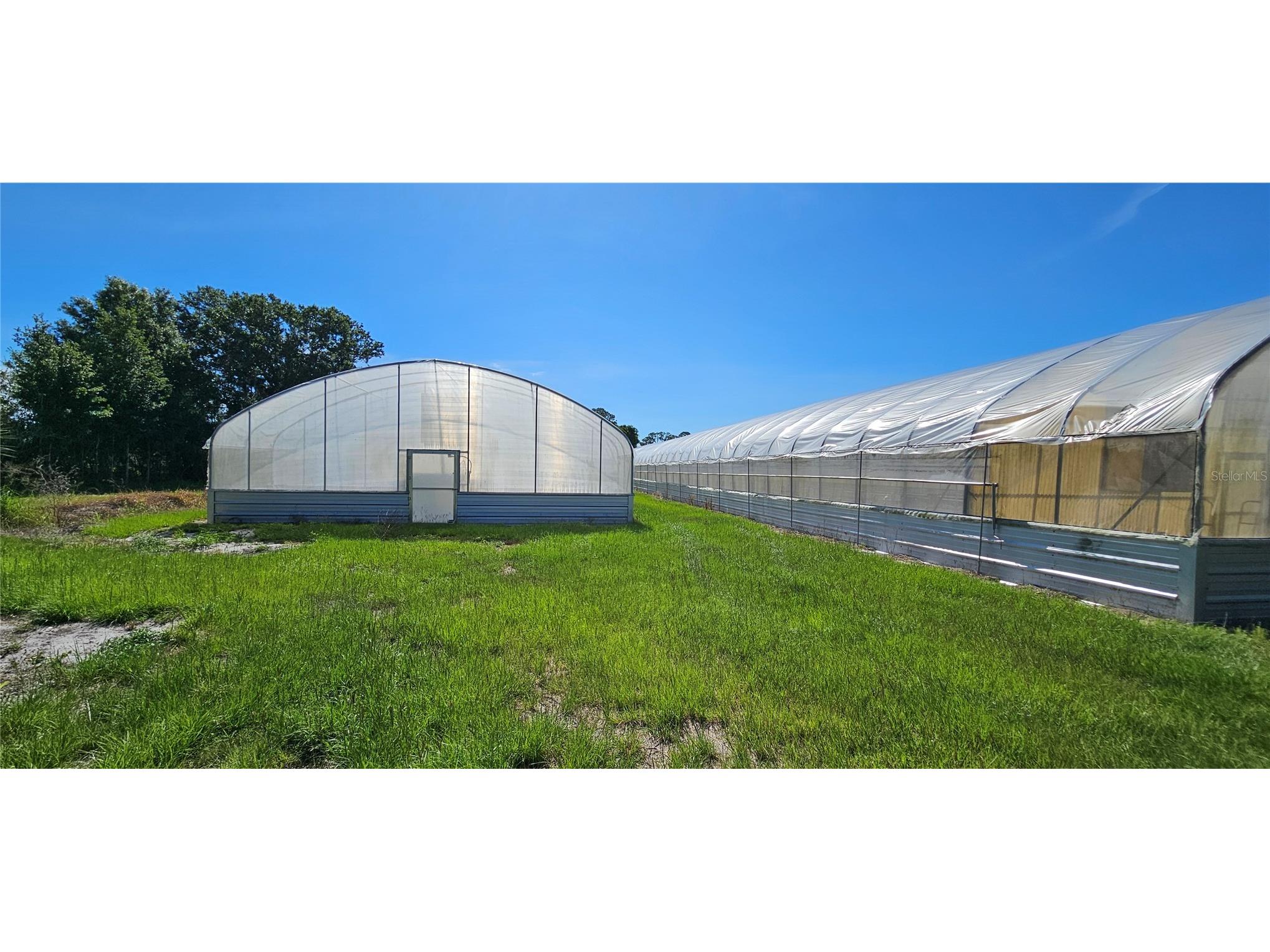  Frostproof FL 33843 L4962645 image18