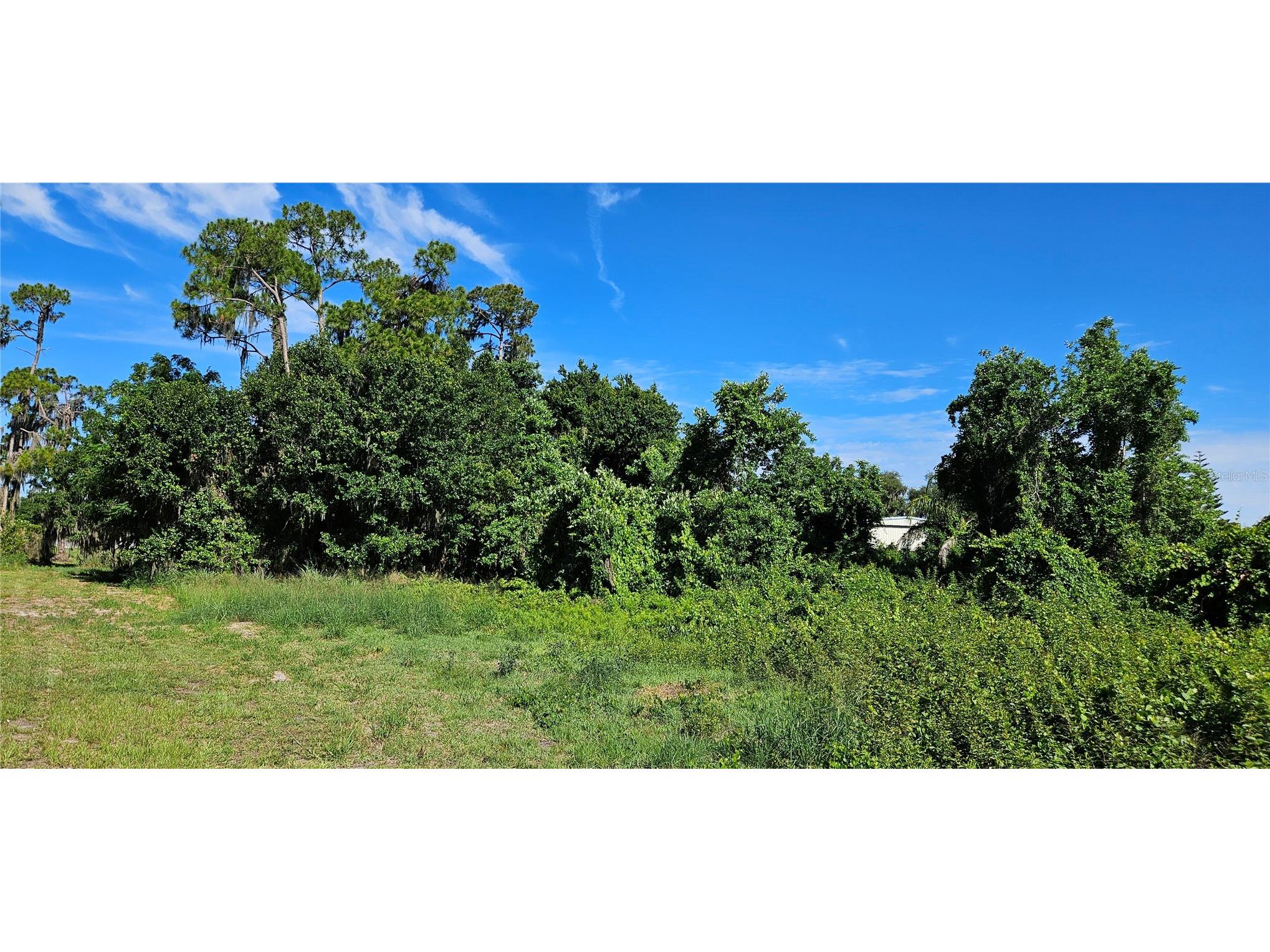  Frostproof FL 33843 L4962645 image5
