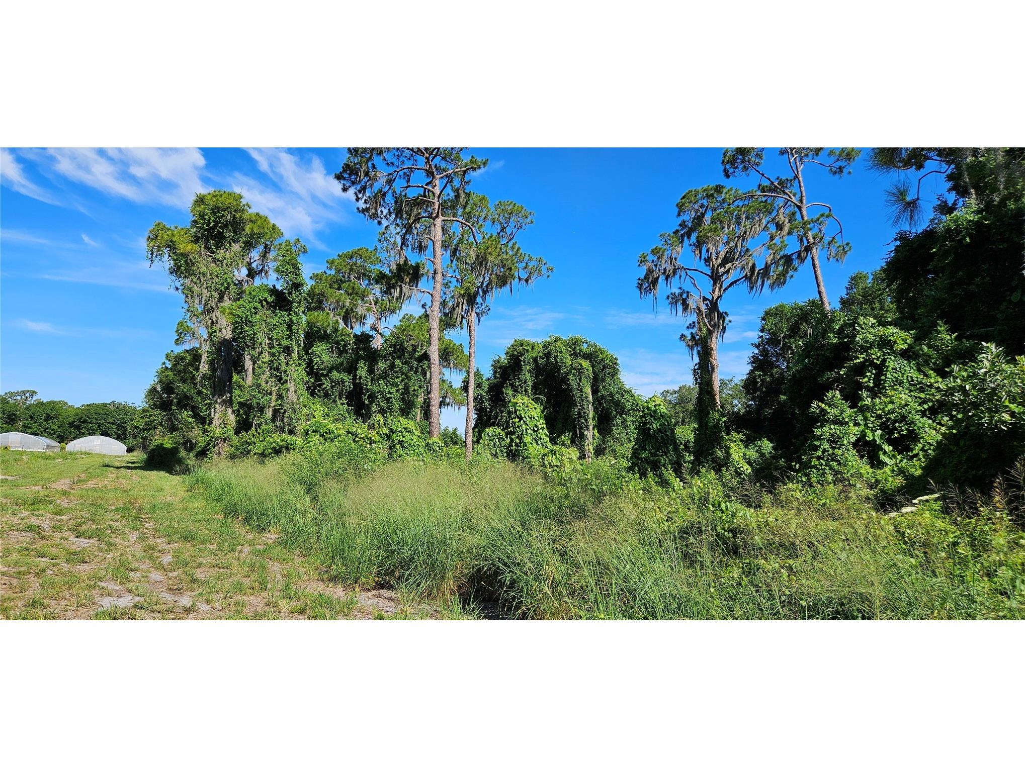  Frostproof FL 33843 L4962645 image6