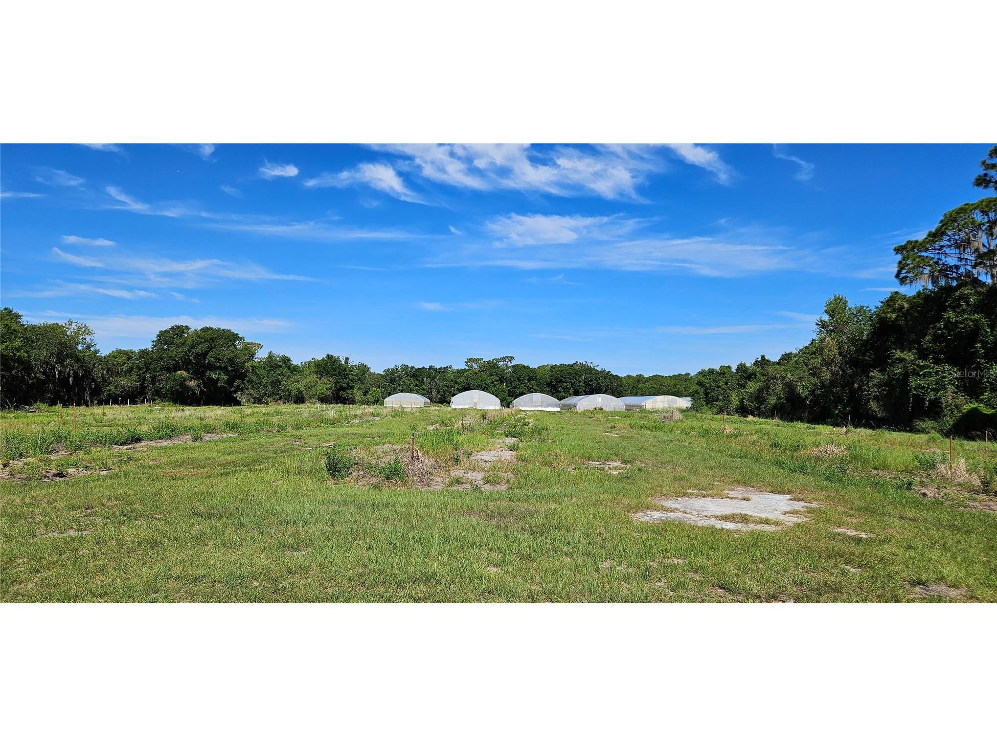  Frostproof FL 33843 L4962645 image8