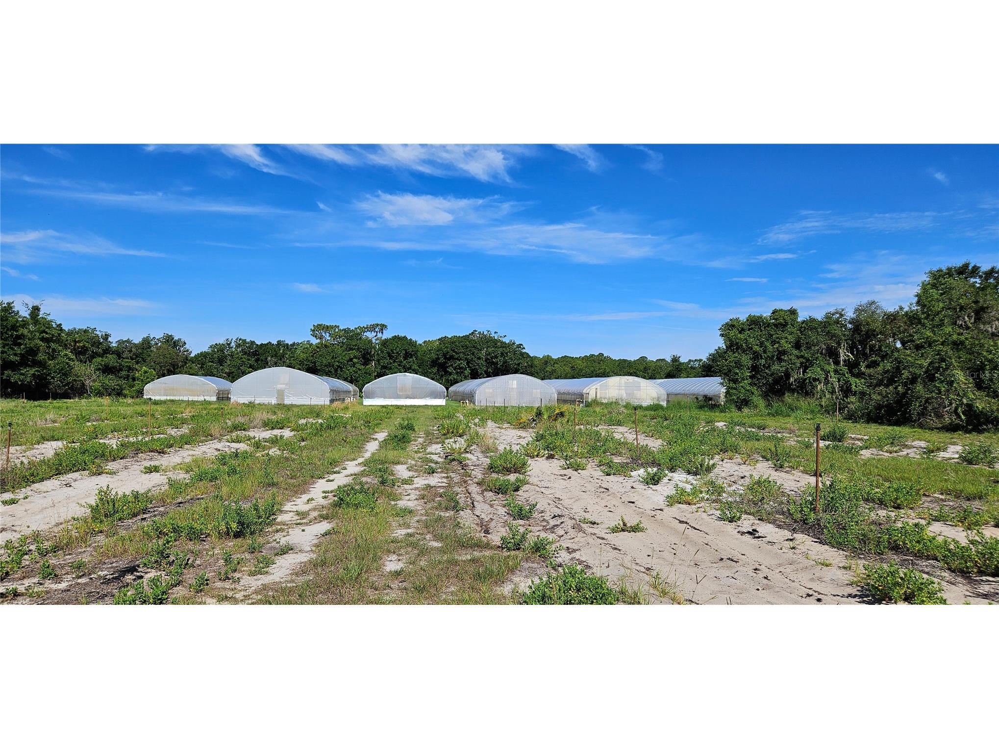  Frostproof FL 33843 L4962645 image9