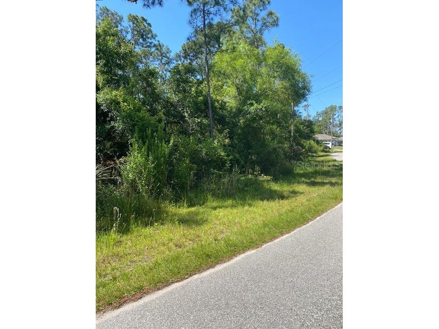 Gabrysh Road North Port FL 34291 N6132783 image1