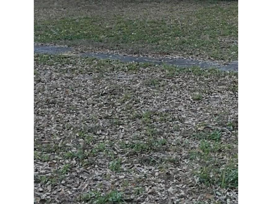 Gadsen Road Winter Haven FL 33884 TB8485710 image1