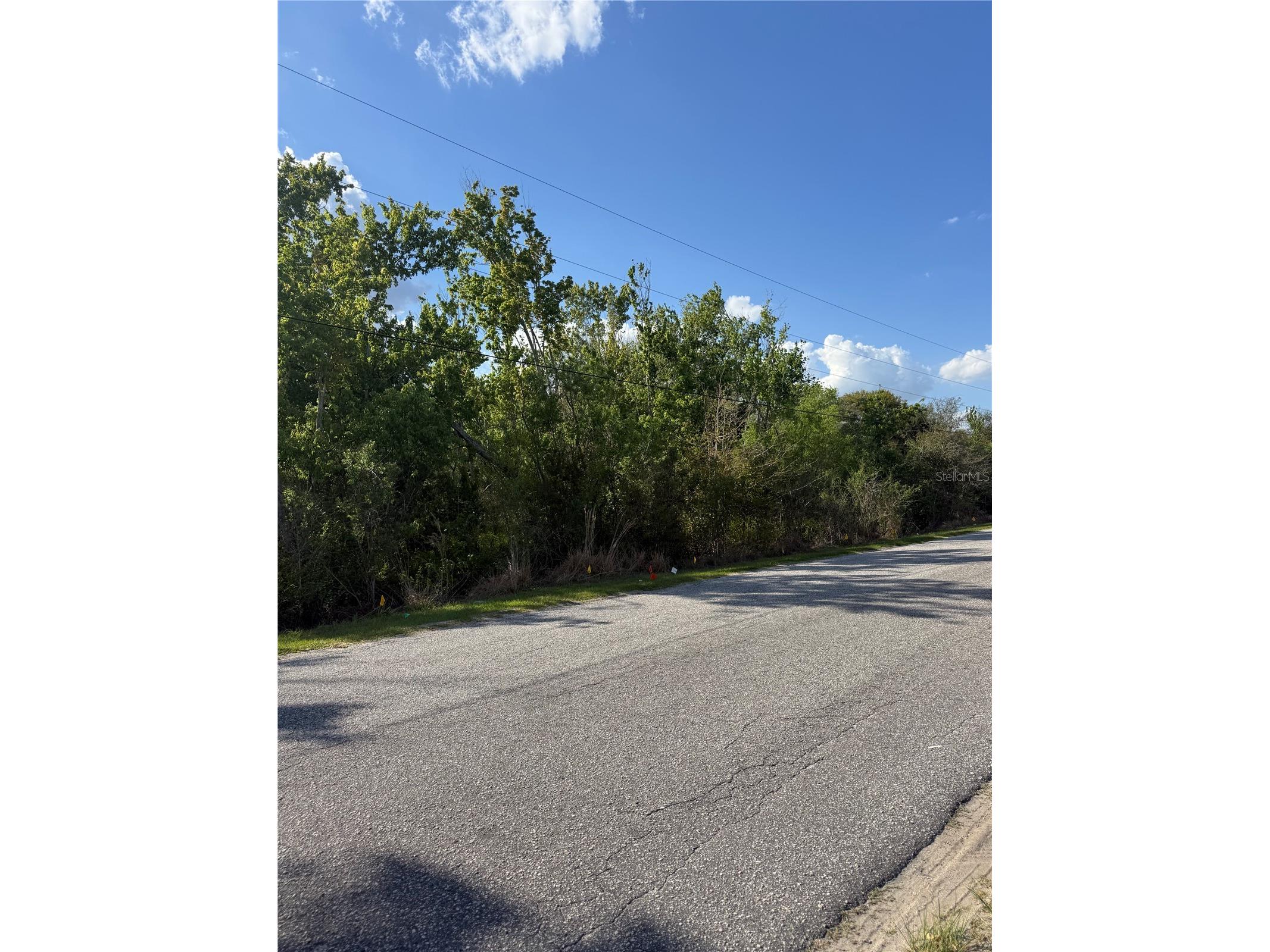 Gadson Street Groveland FL 34736 O6391187 image1