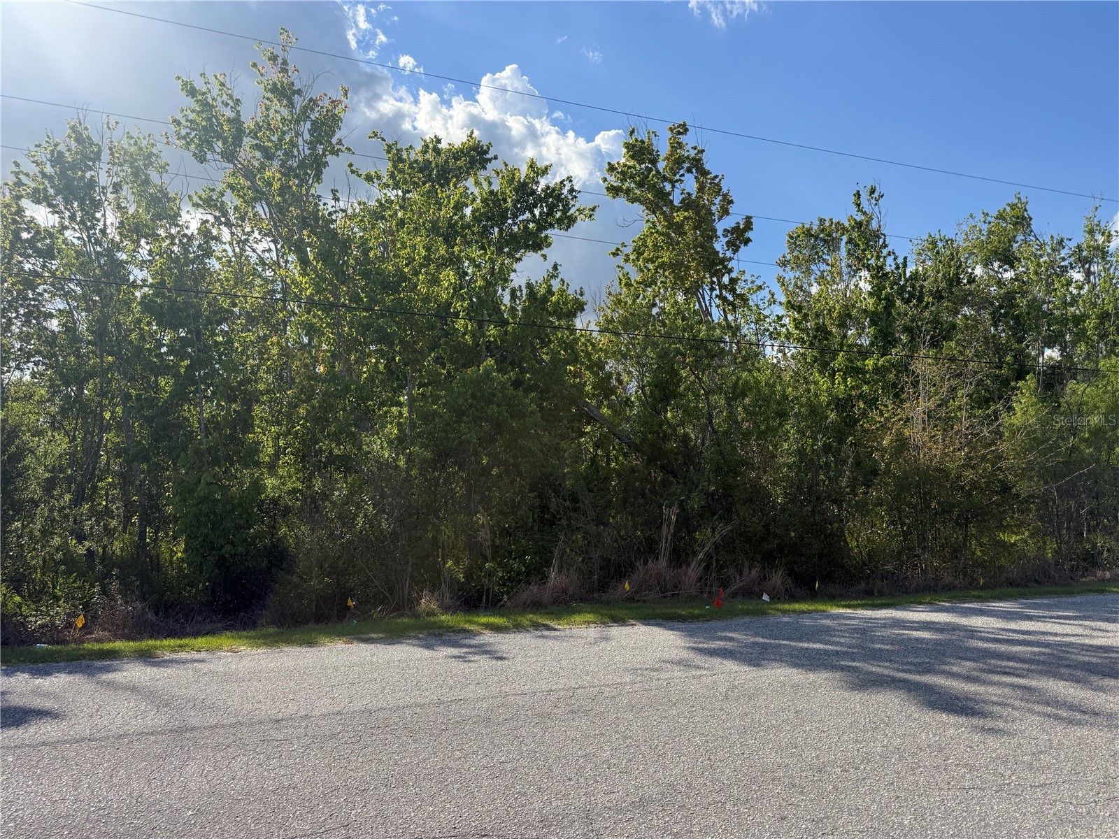 Gadson Street Groveland FL 34736 O6391187 image3