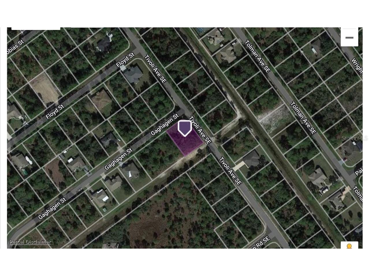 Gaghagen Street SE Palm Bay FL 32909 C7480807 image1