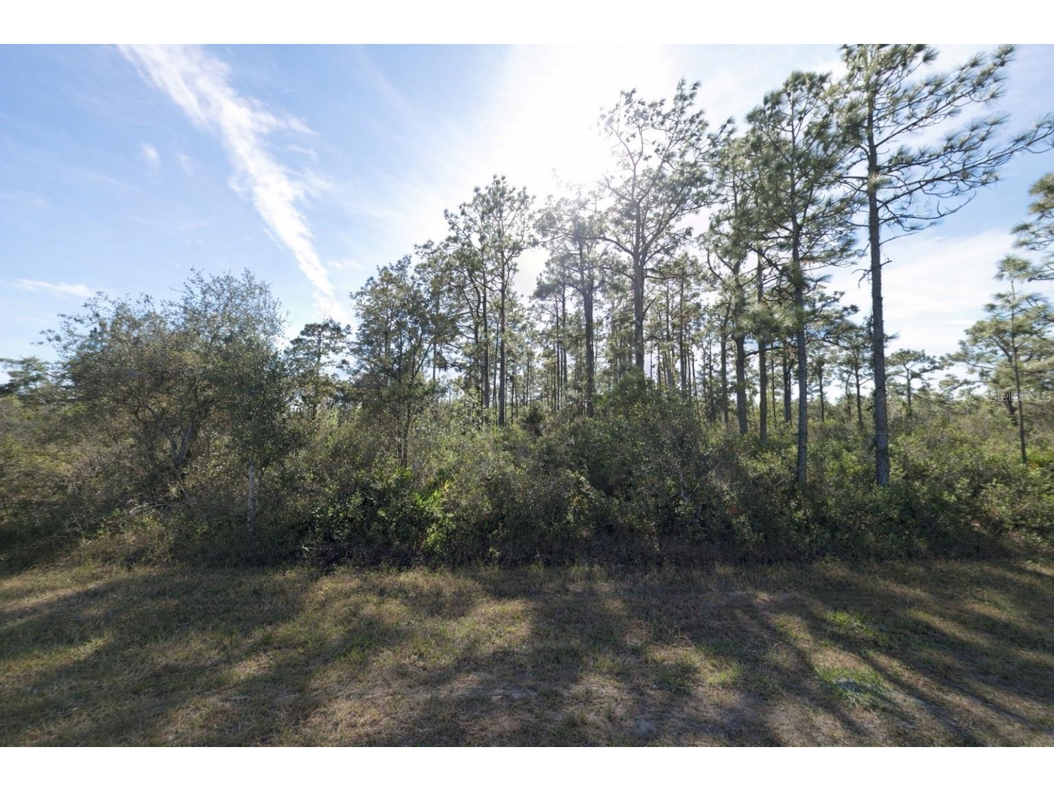 Gaillardia Drive Indian Lake Estates FL 33855 TB8498661 image1