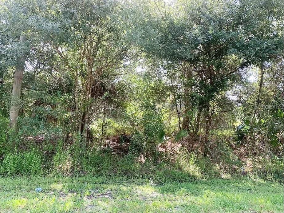 Gainesboro Street North Port FL 34291 C7521002 image1