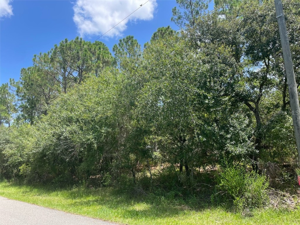 Gainsboro Street North Port FL 34291 A4544478 image1