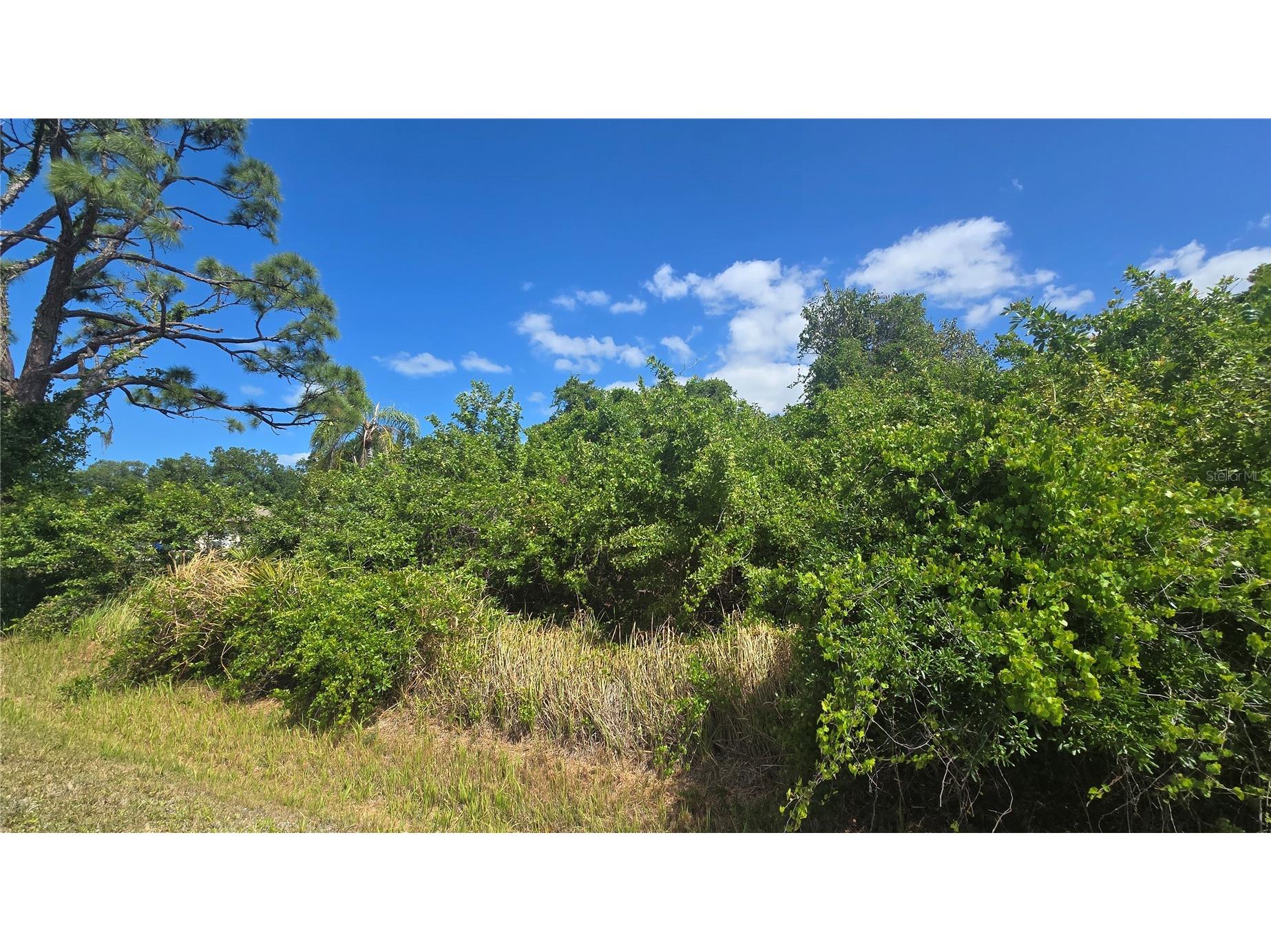 Gale Street Englewood FL 34223 A4690789 image2