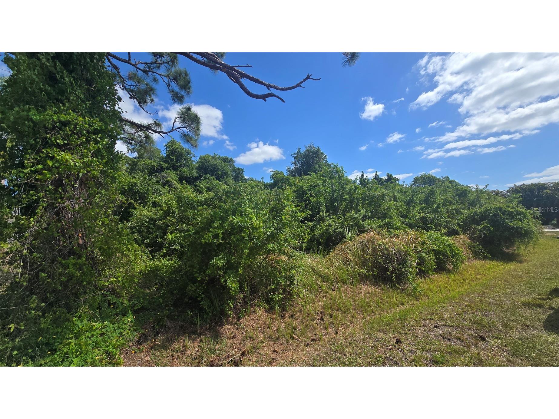 Gale Street Englewood FL 34223 A4690789 image4