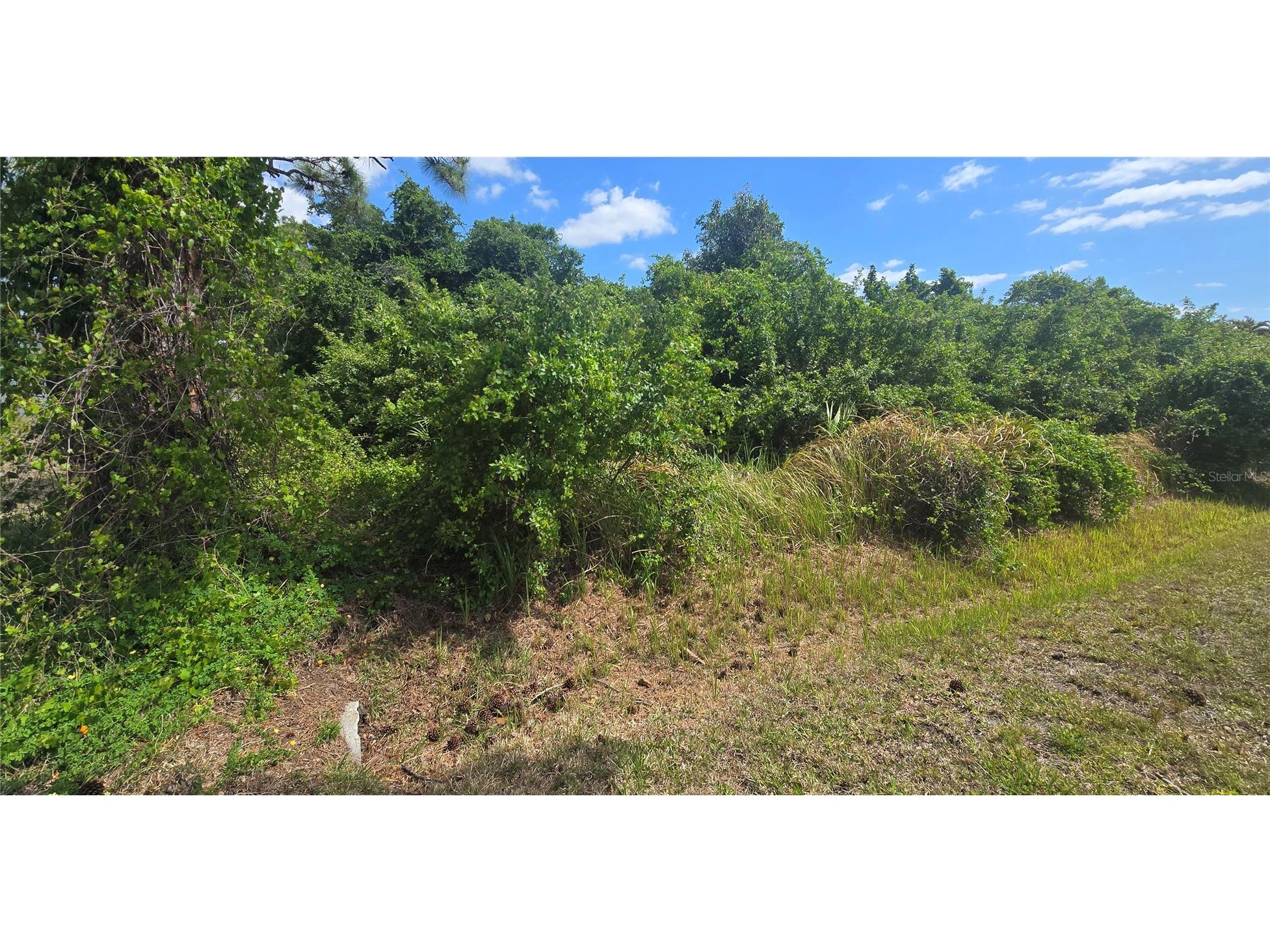 Gale Street Englewood FL 34223 A4690789 image7
