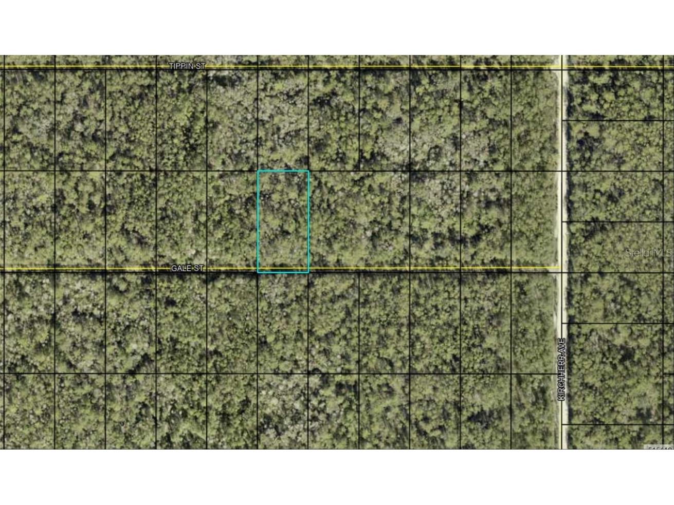 Gale Street Hastings FL 32145 FC297079 image1