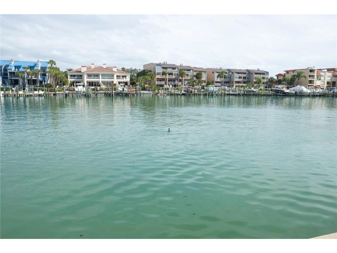 Galeon Drive Tierra Verde FL 33715 TB8357576 image22