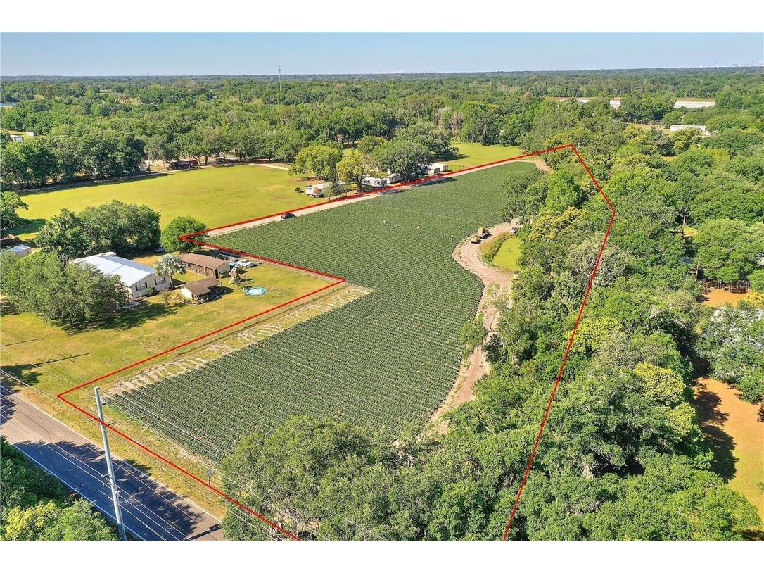 Gallagher Road Dover FL 33527 U8118216 image1