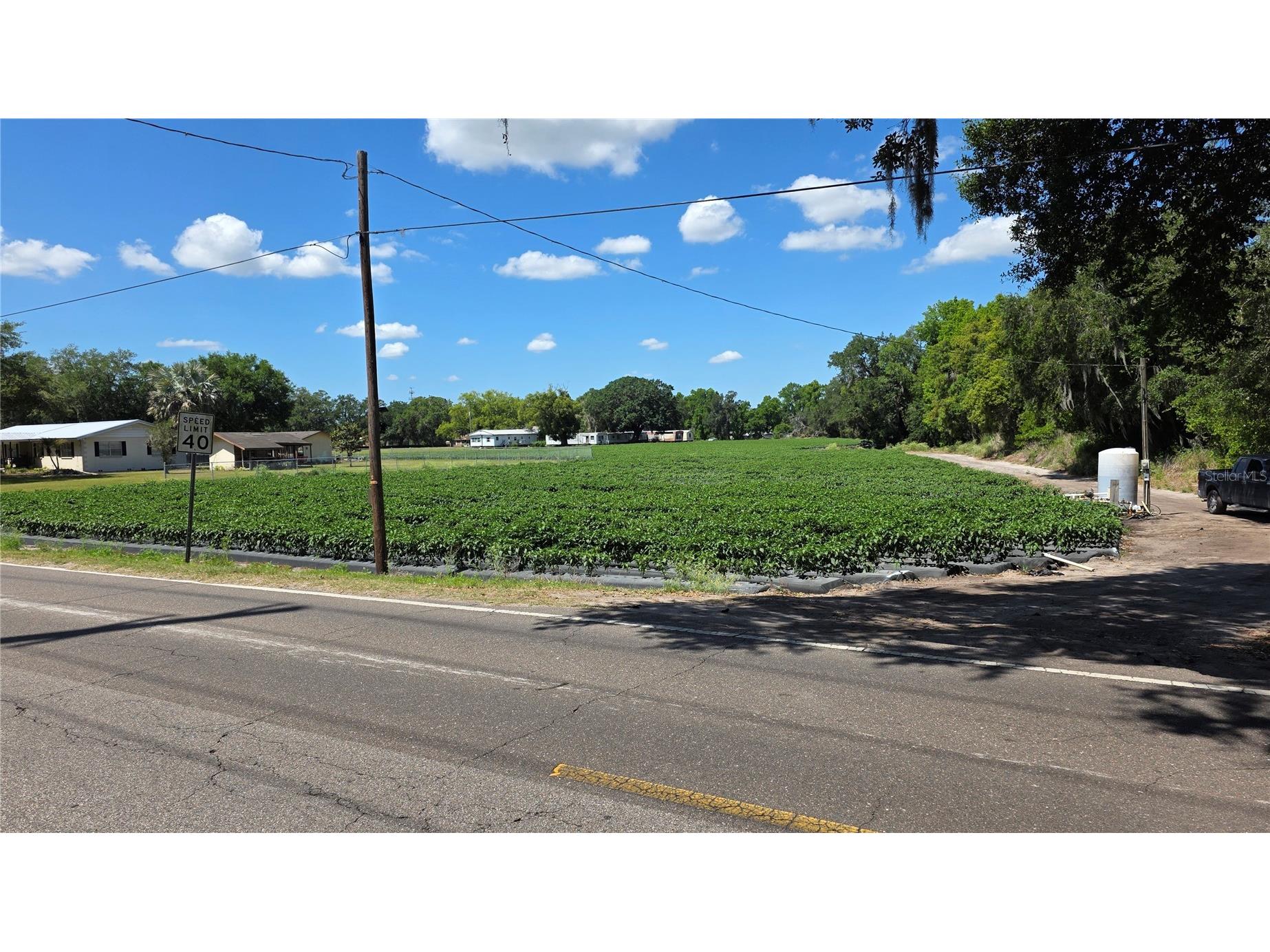 Gallagher Road Dover FL 33527 TB8502492 image1
