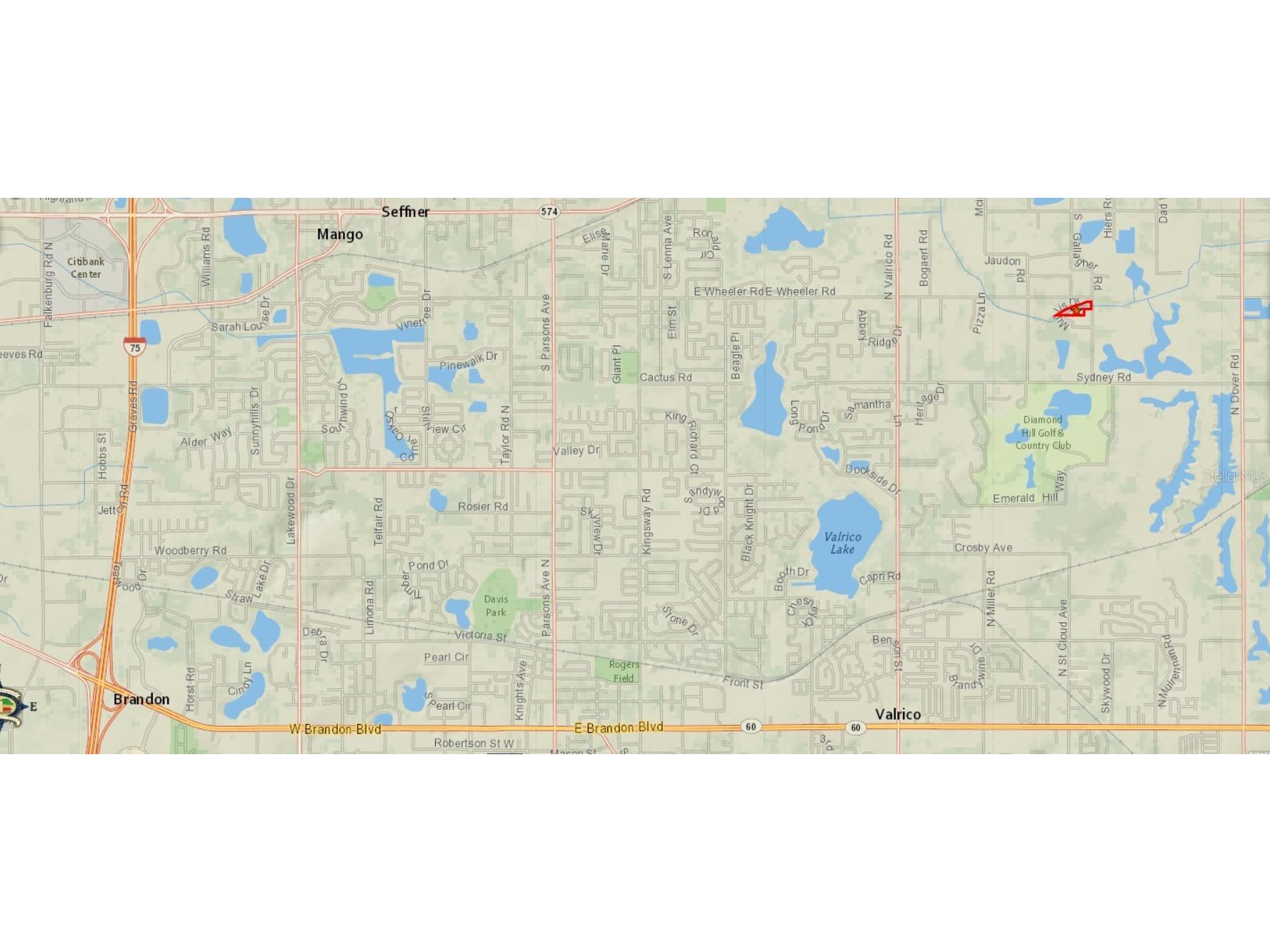 Gallagher Road Dover FL 33527 TB8502492 image12